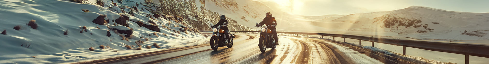 Motorcycle Gloves